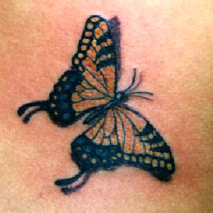 Rot Blauer Schmetterling Tattoo