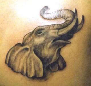 Elephant Tattoos on Elefant Tattoo