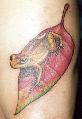 Gelber Frosch Tattoo