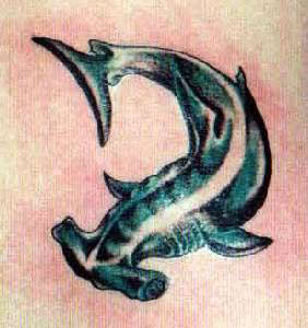 Hammerhai Tattoo
