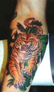 Wilder Tiger Tattoo